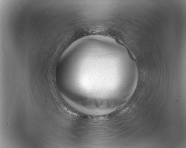 X0000060741393200512011407