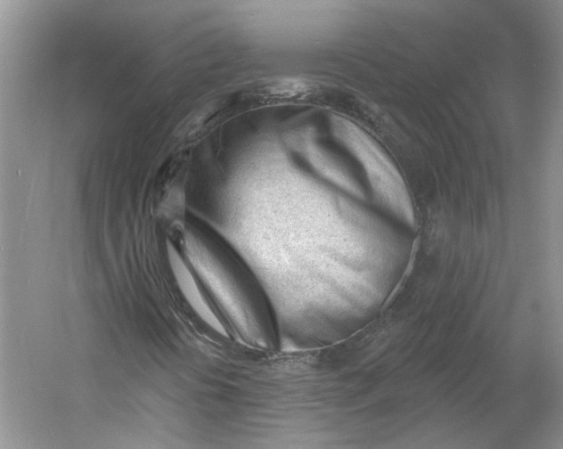 X0000060741394200512011407