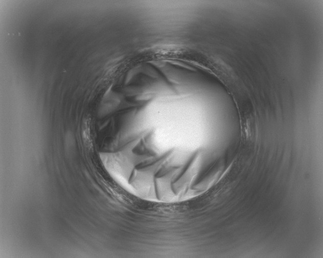 X0000060741396200512011407