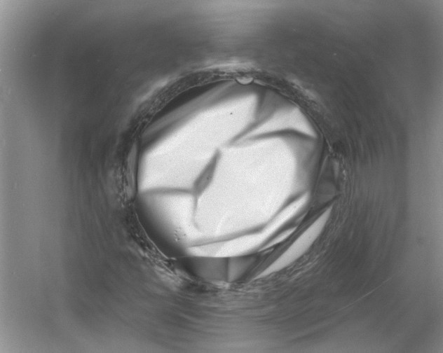 X0000060741398200512011407