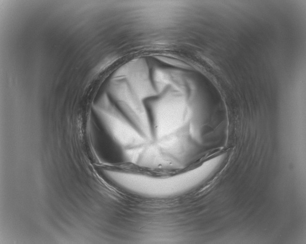 X0000060741402200512011407