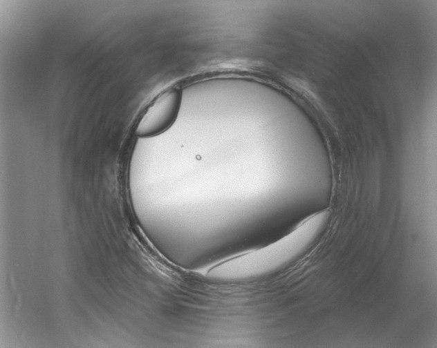 X0000060741404200512011407