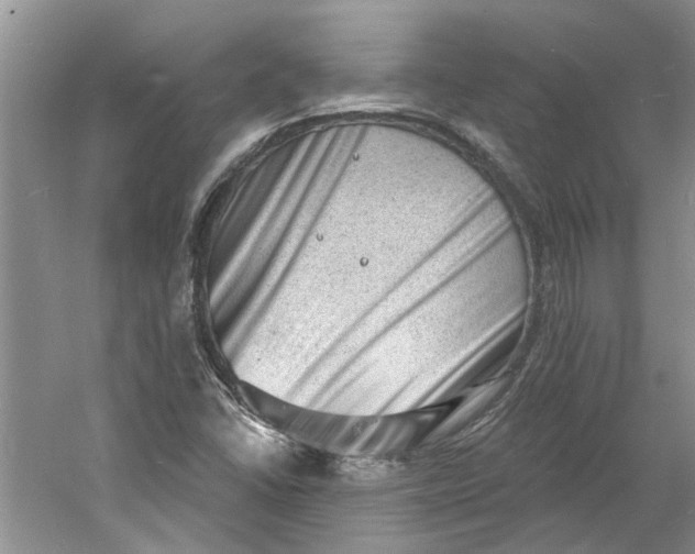 X0000060741406200512011407