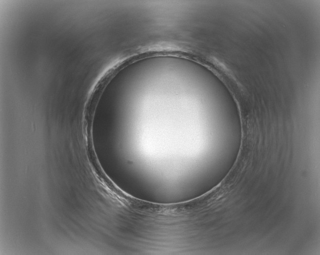 X0000060741408200512011407