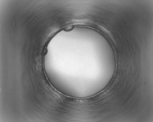 X0000060741411200512011407