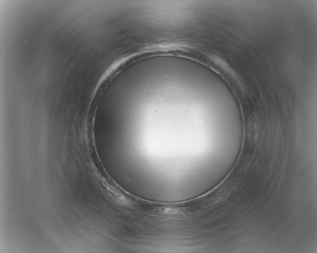 X0000060741412200512011407