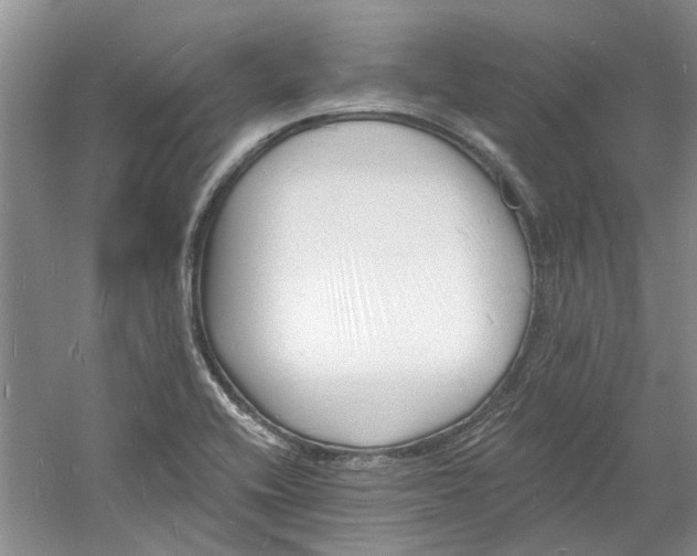 X0000060741416200512011407