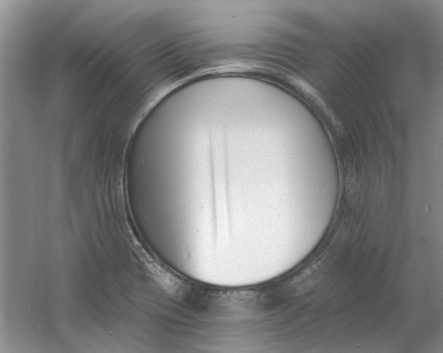 X0000060741417200512011407