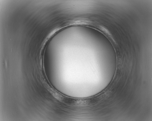 X0000060741419200512011408