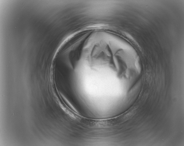 X0000060741421200512011408