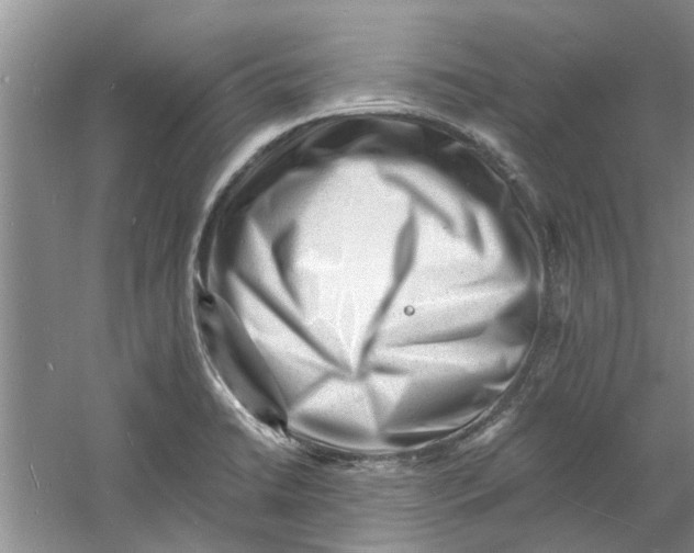 X0000060741422200512011408