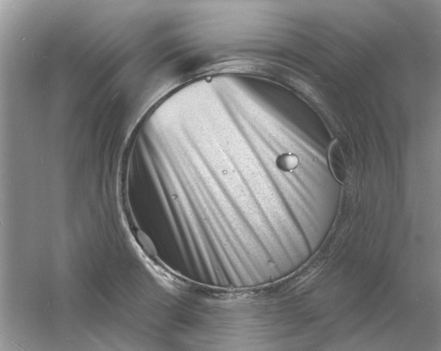 X0000060741426200512011408