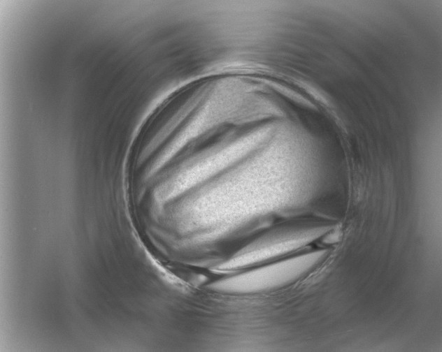 X0000060741430200512011408