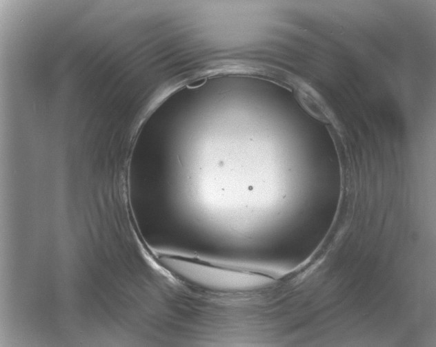 X0000060741433200512011408