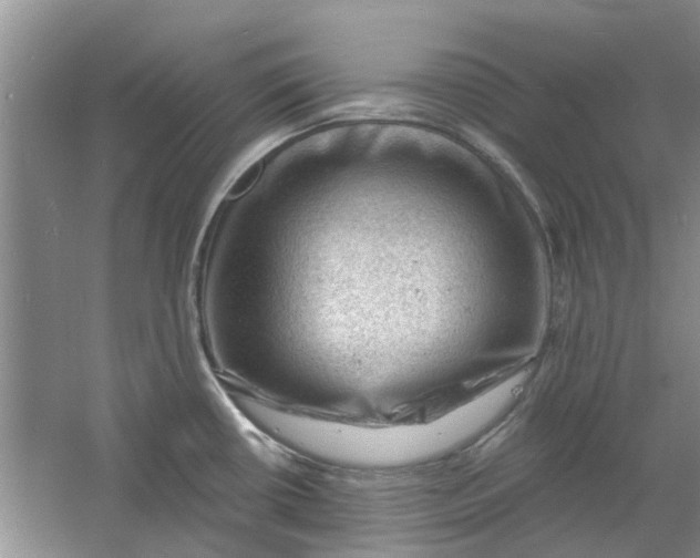 X0000060741434200512011408