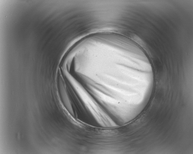 X0000060741436200512011408