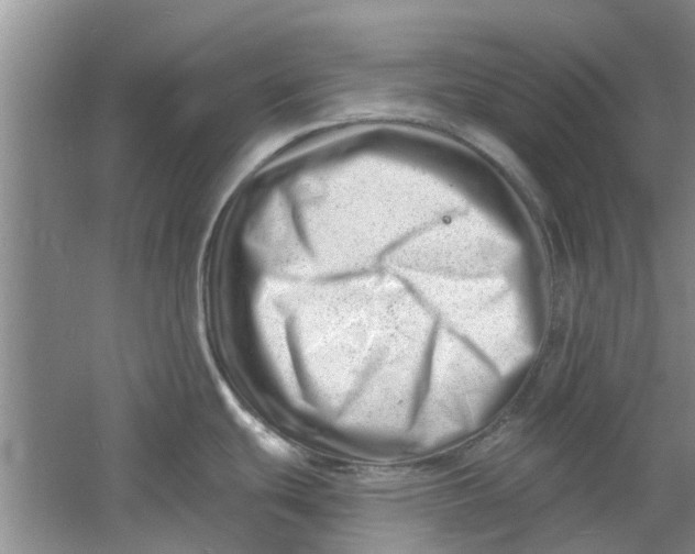 X0000060741439200512011408