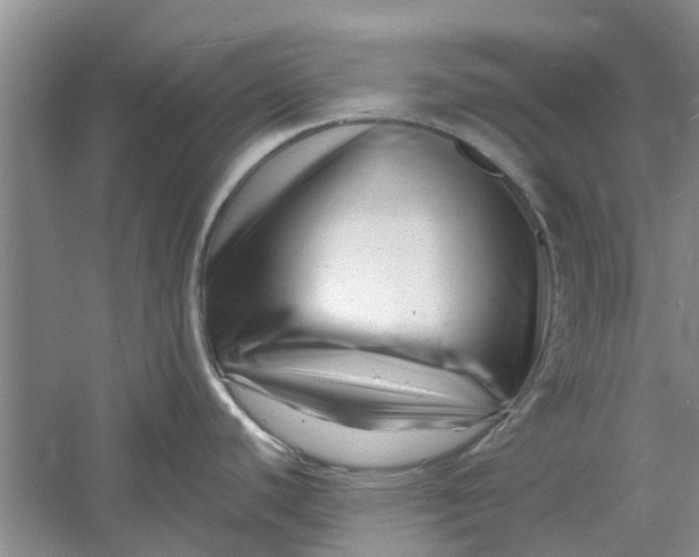 X0000060741440200512011408