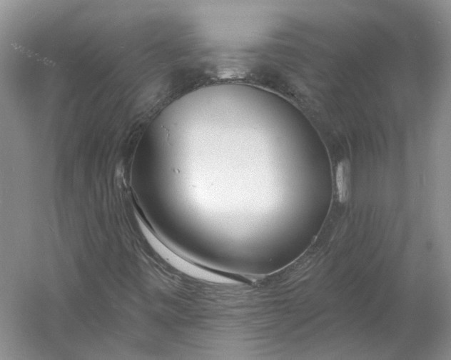 X0000060741443200512011407