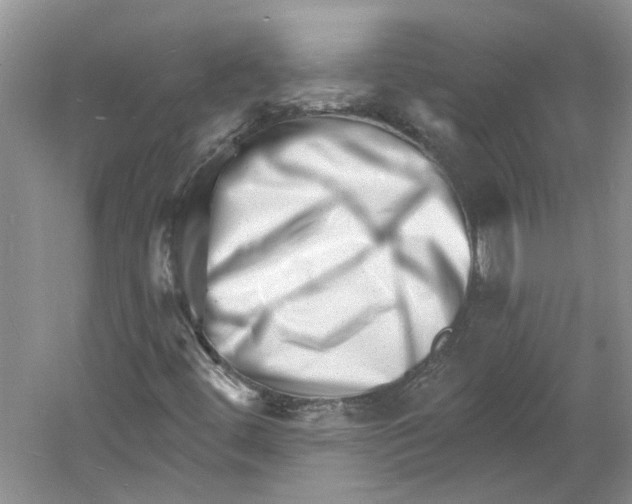 X0000060741444200512011407