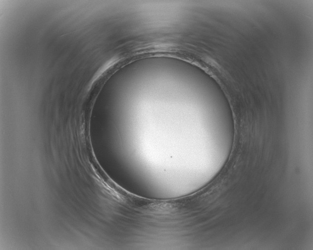 X0000060741450200512011407