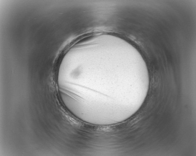 X0000060741454200512011407