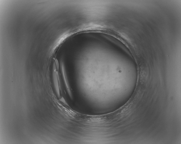 X0000060741455200512011407