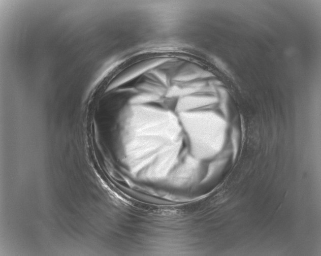 X0000060741456200512011407