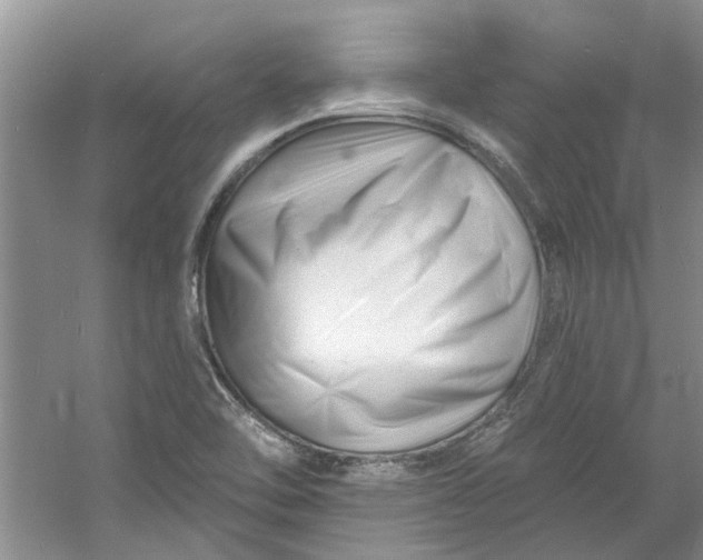 X0000060741462200512011407