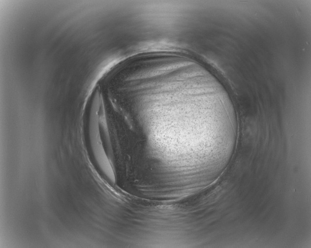 X0000060741463200512011407