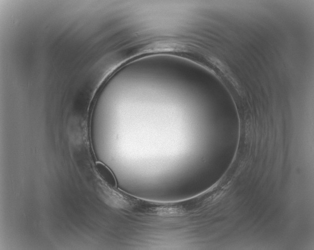 X0000060741465200512011407