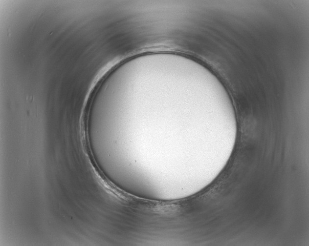 X0000060741466200512011407