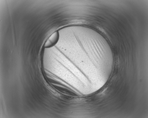 X0000060741467200512011407