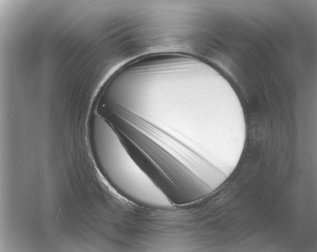 X0000060741468200512011407