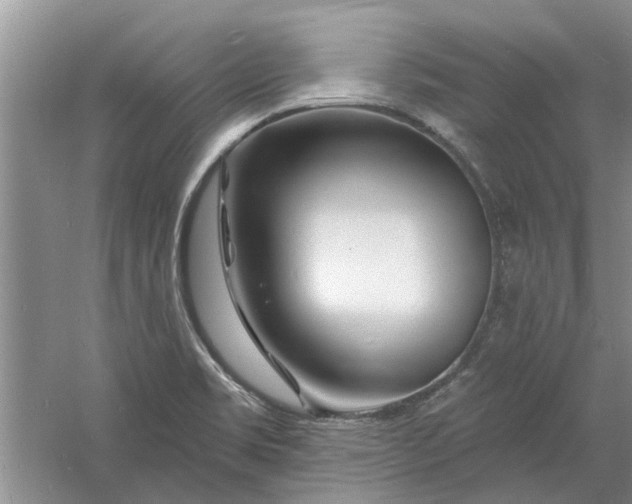 X0000060741469200512011407