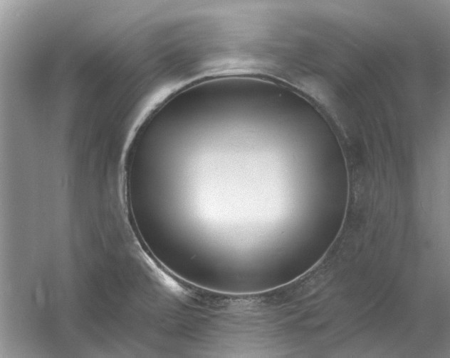 X0000060741472200512011406