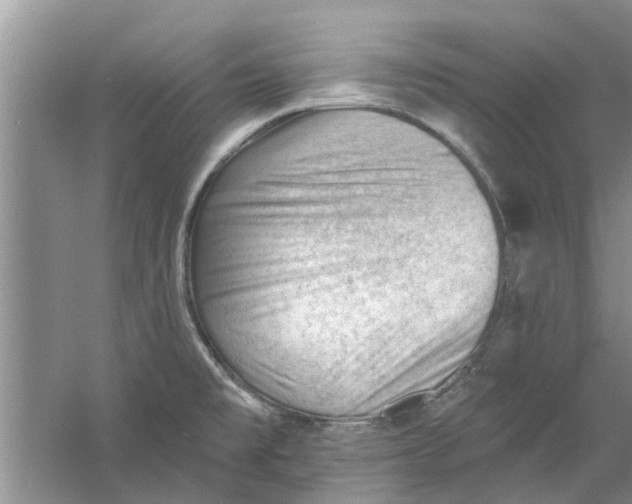 X0000060741477200512011406