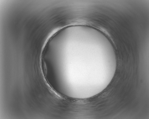 X0000060741480200512011406