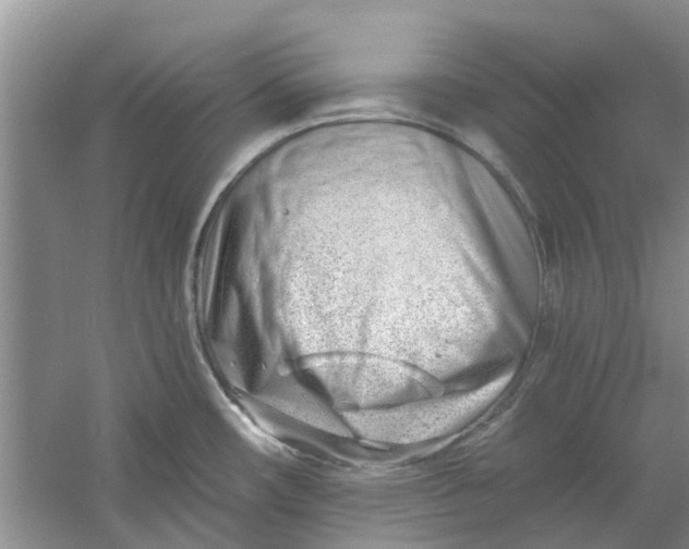 X0000060741482200512011406