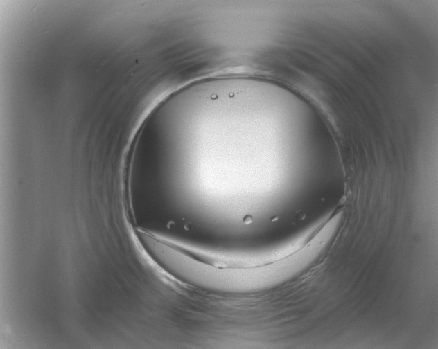 X0000060741483200512011406