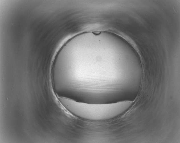 X0000060741488200512011406