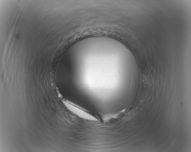 X0000060741490200512011405