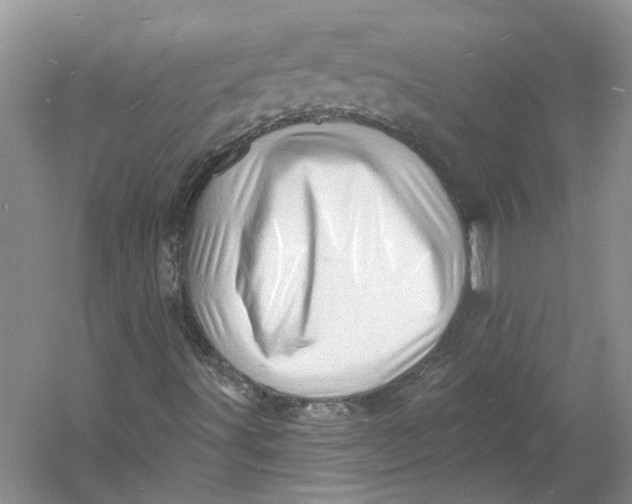 X0000060741491200512011405