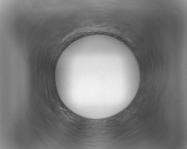 X0000060741492200512011405