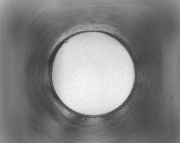 X0000060741498200512011406