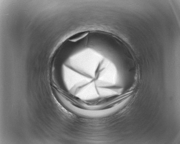 X0000060741500200512011406