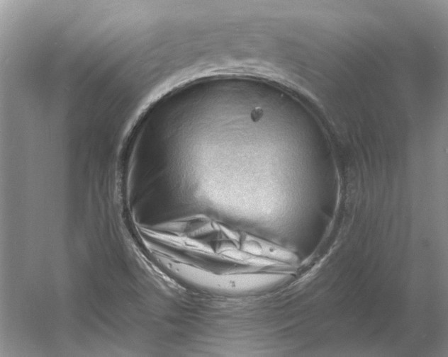 X0000060741506200512011406