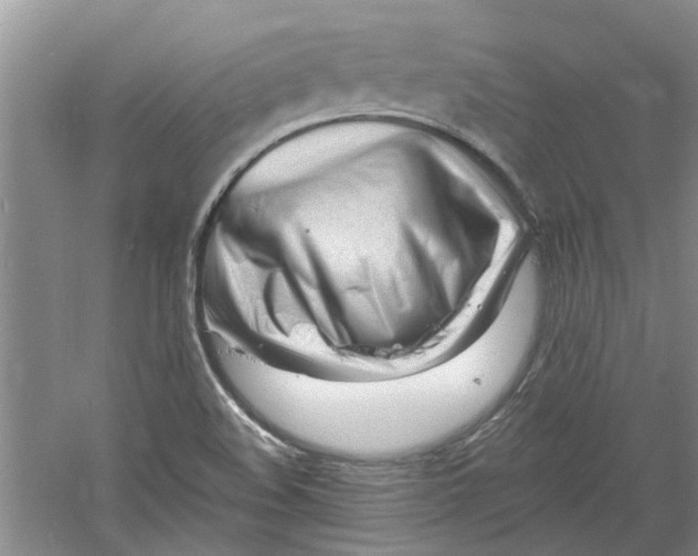 X0000060741508200512011406