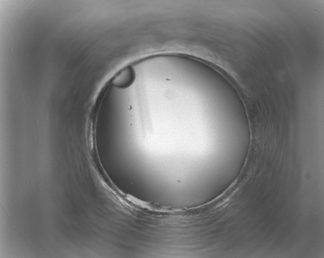 X0000060741510200512011406