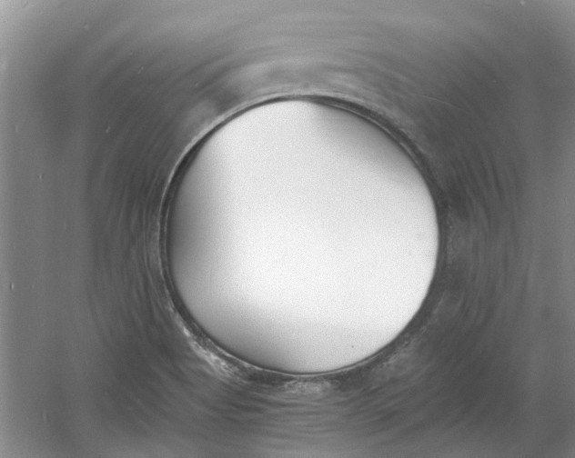 X0000060741513200512011406